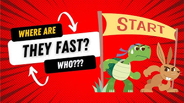 The Rabbit and the Tortoise