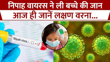 Nipah Virus Symptoms: निपाह वायरस से संक्रमित बच्चे की गई जान! नजरअंदाज न करें ये लक्षण! Kerala