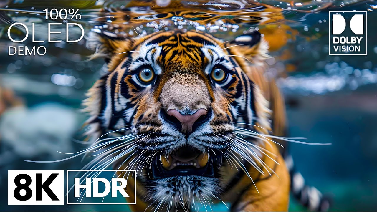 Ultra Clarity 8K HDR 120FPS Dolby Vision | See the world in 8K Video like never before