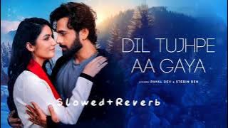 Dil Tujhpe Aa Gaya (Slowed Reverb) New Lofi Song 2025 | Stebin Ben & Payal Dev |