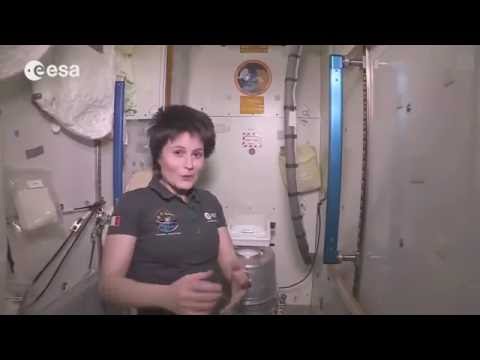 Как ходят в