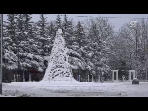 ხონის სოფლებში დიდთოვლობამ პრობლემები შექმნა /MTAVARI/