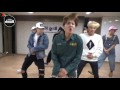 BTS  - 뱁새 (Silver Spoon/Crow-Tit) Baepsae Dance Practice Mirrored (70% Slow)