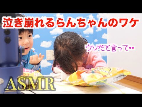 らんちゃんが泣き崩れた理由【ASMR】だれがポテトを食べているでしょう？