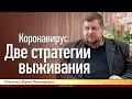 Коронавирус. Две стратегии выживания