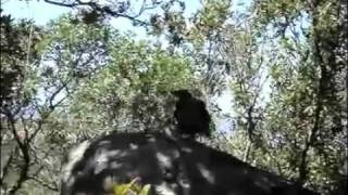 Vocalises- Singing Exercises-