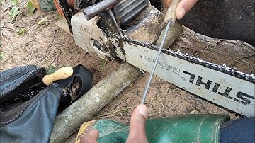#review cách dũa xích cưa cho người mới tập #maycuago #stihl #tonghoptiktok (chainsaw chain file )