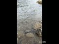 شعر أندلسي مقاطع شعرية مسموعة نجيب جحيش الشاعر جيمية حازم القرطاجني ما اقرب الامال من يد مرتج