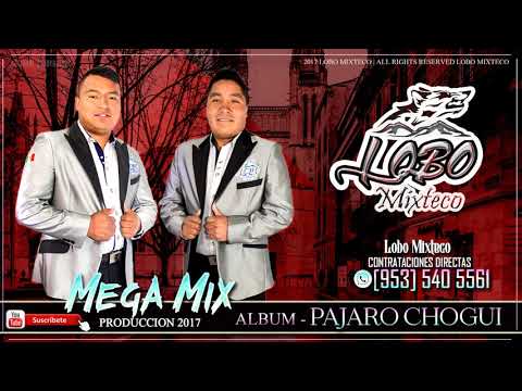 LOBO MIXTECO* MEGA MIX DEL ALBUM PAJARO CHOGUI | PRODUCCION 2017