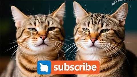 PixVerse V5 Image Text 360P CREATE VIDEO OF TW