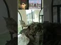 اول استشهادي په افغانستان کي حیات الله
