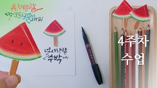 4주차 수업 | 귀여운 수박 그림 | 집콕취미 | 색연필 캘리그라피