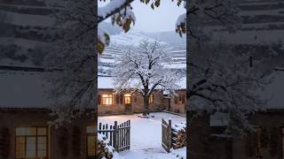 rain forest life comping video life #snow #lifeisbutadream #lifeisbutadream #comping