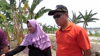 Nominasi Dokumen Pembelajaran Kab Demak Bid Pel Demak Dempet Mina Padi Lele Harjowinangun