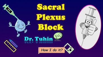 Sacral Plexus Block | PNS Guided Sciatic Nerve Block | Mansour  Parasacral Approach