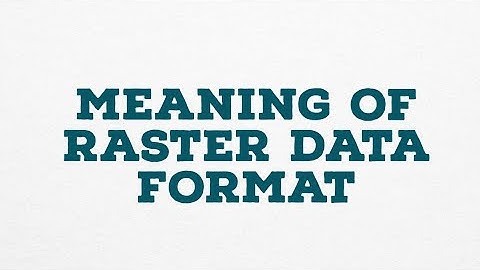 MEANING OF RASTER DATA FORMAT
