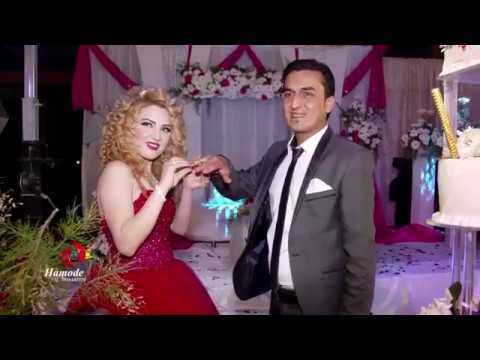 حفل خطوبة جميل دنيا اعراس عفرين    3