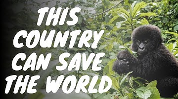 The Country That Can Save The World From An Environmental Disaster | Climate Change | DRC