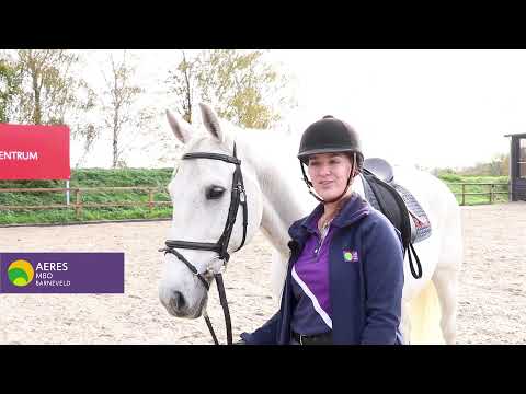 verschil paardensport en -houderij opleiding én de Instructeursopleiding Aeres MBO Barneveld