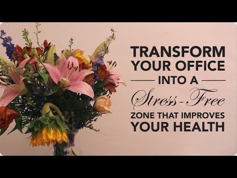 7 Tips to Transform Your Office into a Stress-Free Workplace