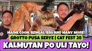 PATIKASAN NA NAMAN NG PUSA NGAYONG LINGGO | GROTTO PET MARKET | MARCH 24, 2024