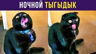 Приколы. Ночной ТЫГЫДЫК | Мемозг #85 Приколы. Ночной ТЫГЫДЫК | Мемозг #85