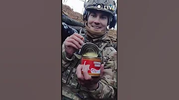 Тімон доїдає Пумбу 