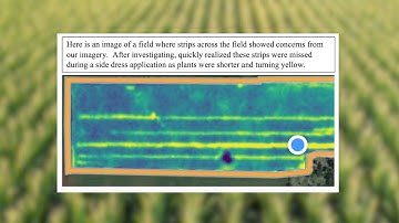 Granular Insights: Directed Scouting and Satellite Imagery