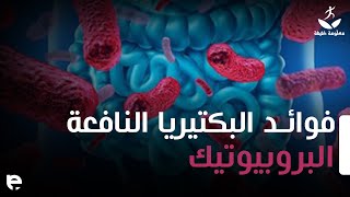 أهمية البروبيوتيك لصحة الأمعاء والقولون | ومصادر البكتيريا النافعة