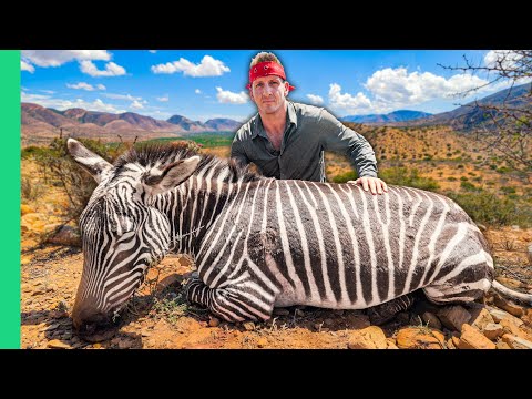 Video: 12 Beste wildreserves in Afrika