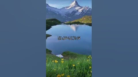 واتس اب قران كريم القارئ ياسر الدوسري سوره التغابن #quran_karim_قران_الكريم