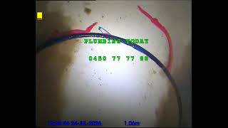 260724 1217A Survey