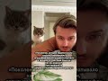 КАК ВЫ МОИ РОДНЫЕ? #жиза #рожденныевссср #90s #80s #70s  #работа #лучшее #новости #подпишись  #наши