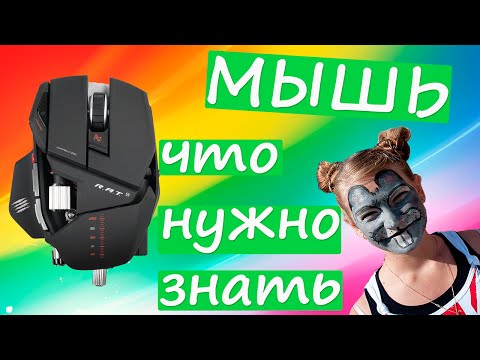 Компьютерная мышь - что нужно знать