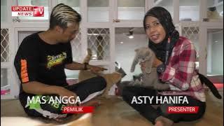 Pria di Nganjuk Raup Ratusan Juta dari Hasil Ternak Kucing Ras