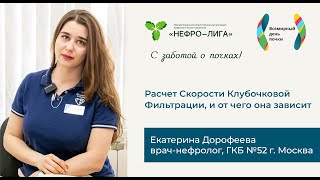 Расчет скорости клубочковой фильтрации, и от чего она зависит