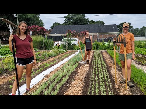 A Farm That