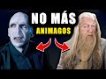 ¿Por Qué No Hay Más Animagos? - Teoría de Harry Potter