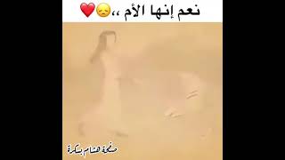 أحسن مقطع عن أم