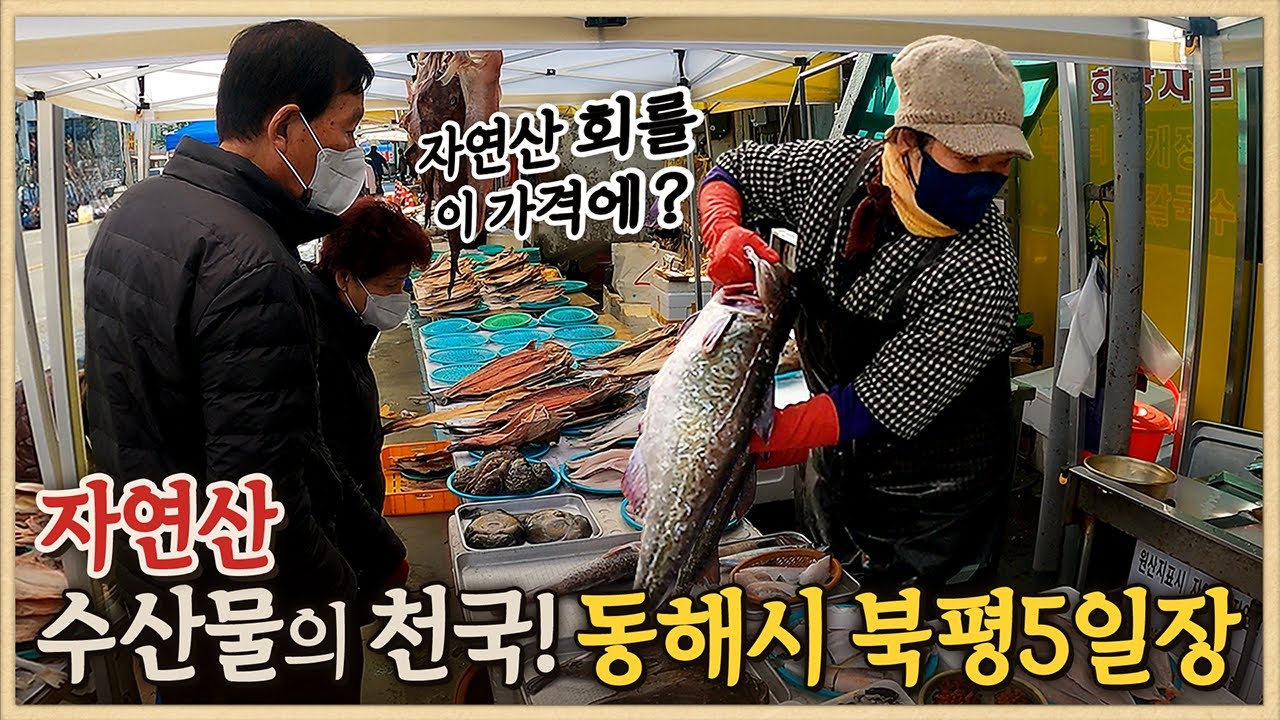 자연산 수산물의 천국! 동해시 북평5일장/자연산 회를 이 가격에?/동해 대왕문어/겨울에만 맛볼수 있는 동해안의 말린 생선들/60년 전통 소머리국밥/동해시 북평민속시장/오일장