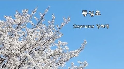 Thumbnail of 동심초 - 강혜정 Soprano (설도 한시,김안서 역시,김성태 곡,천상혁 편곡)