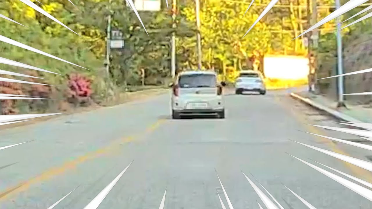 RATCHETCAT BEST MOMENTS ONLY (2025)