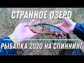 Окуневое Озеро  Рыбалка на странном водоеме в котором живет только ОКУНЬ