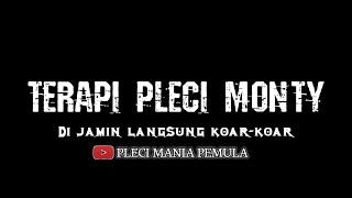 TERAPI PLECI MONTY AMPUH #TerapiPleci #pleciGacor