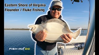 Eastern Shore of Virginia Flounder / Fluke Fishing