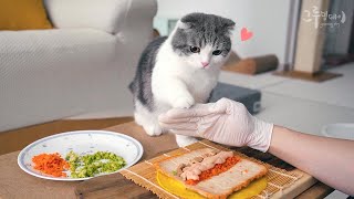 Cat's reaction to seeing kimbap for the first time