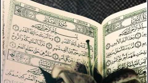 سورة المجادلة والحشر والممتحنة للشيخ محمود سالم