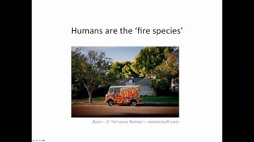 Webinar - We Bring Fire With Us