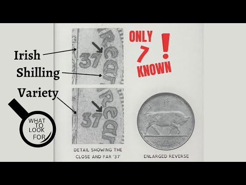 Variety Coin: Irish Shilling