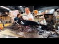 【衝撃のマグロ食べ放題】70Kg超えを客の前で捌く!本気のマグロ居酒屋!!